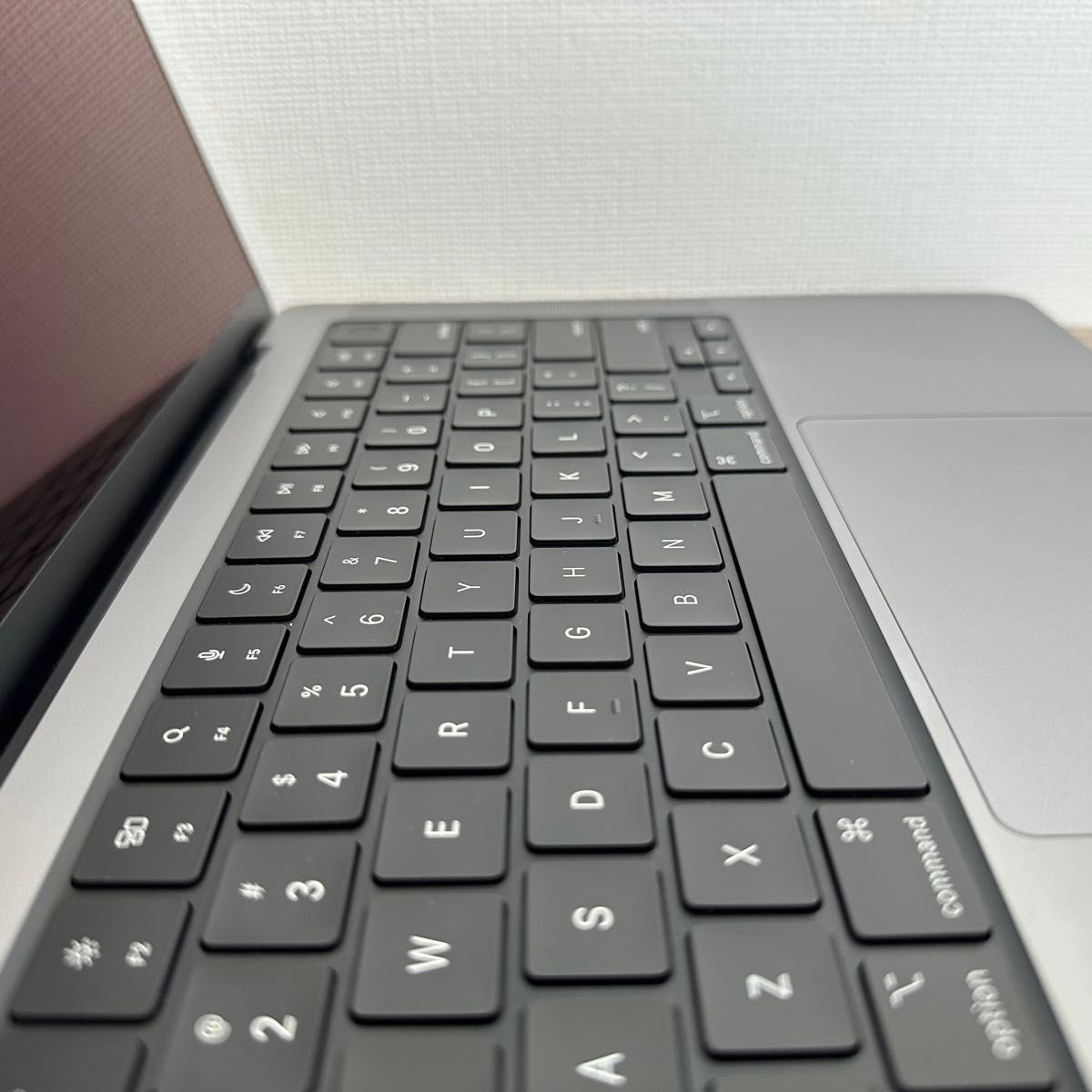 [付属品完備] MacBook Pro M1 Pro, 16GB, 1TB, USキーボード