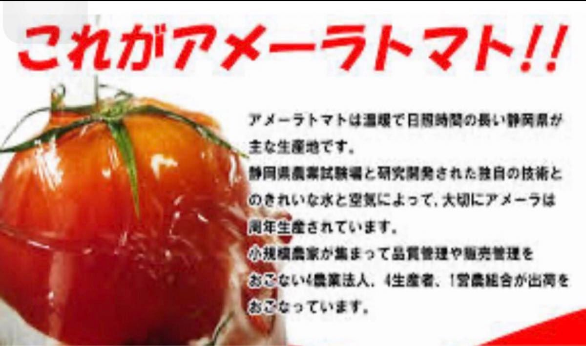 4ケース　アメーラトマト　自信あります！　高糖度　フルーツトマト　品質鮮度抜群！