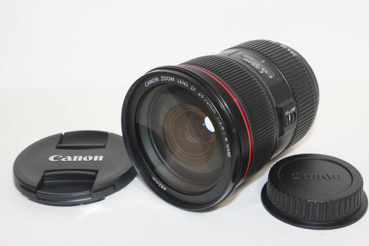 Canon キャノン 標準ズームレンズ EF24-70mm F2.8L II USM フルサイズ対応 (400-051)_画像1