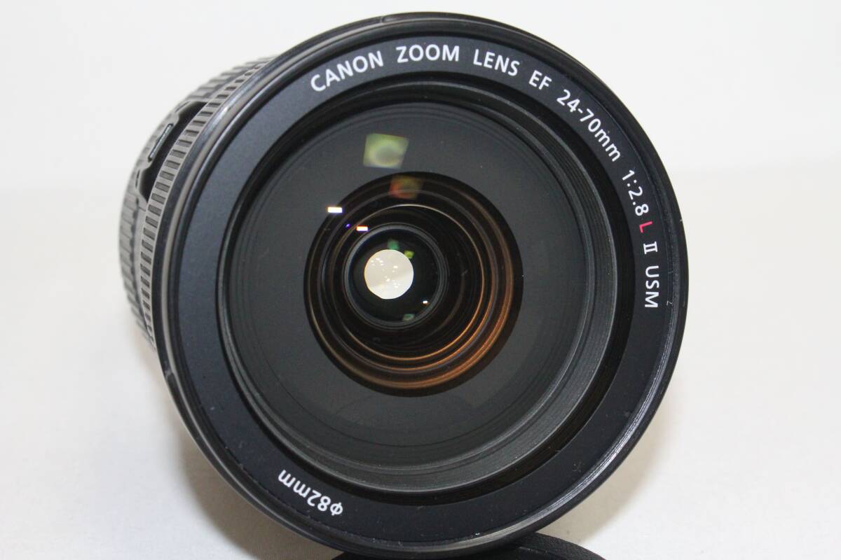 Canon キャノン 標準ズームレンズ EF24-70mm F2.8L II USM フルサイズ対応 (400-051)の画像7