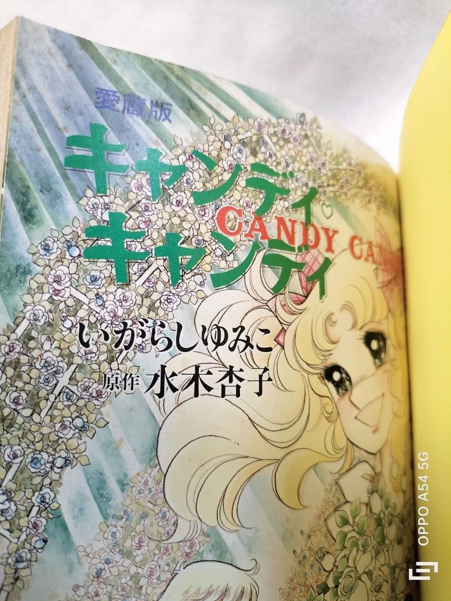 キャンディキャンディ 愛蔵版 全巻セット いがらしゆみこ 水木 キャンディキャンディ 愛蔵版 全巻セット いがらしゆみこ 水木