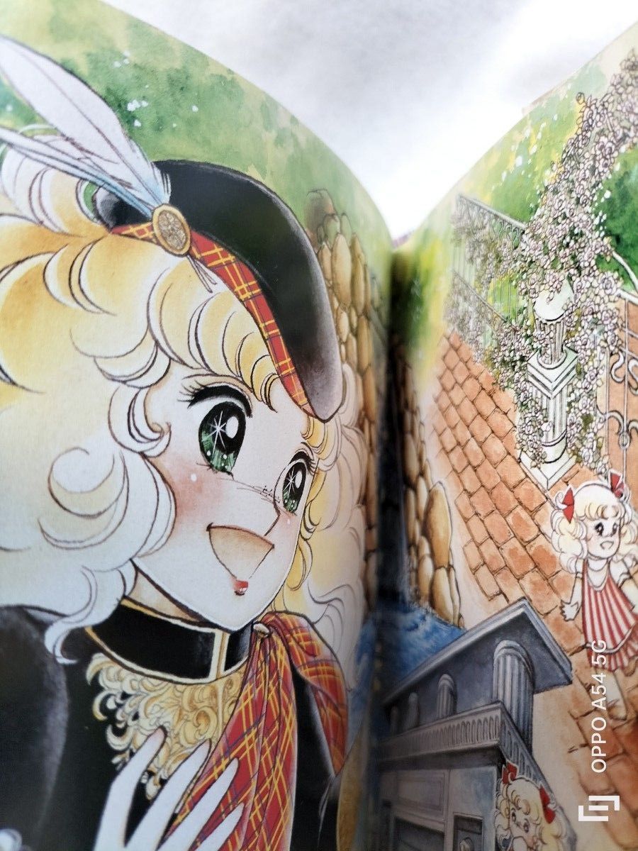 キャンディキャンディ 愛蔵版 全巻セット いがらしゆみこ 水木 キャンディキャンディ 愛蔵版 全巻セット いがらしゆみこ 水木