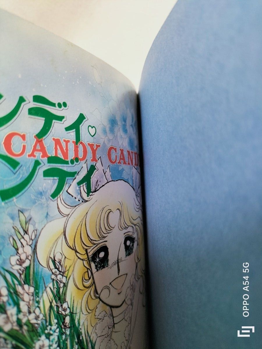 キャンディキャンディ 愛蔵版 全巻セット いがらしゆみこ 水木 キャンディキャンディ 愛蔵版 全巻セット いがらしゆみこ 水木