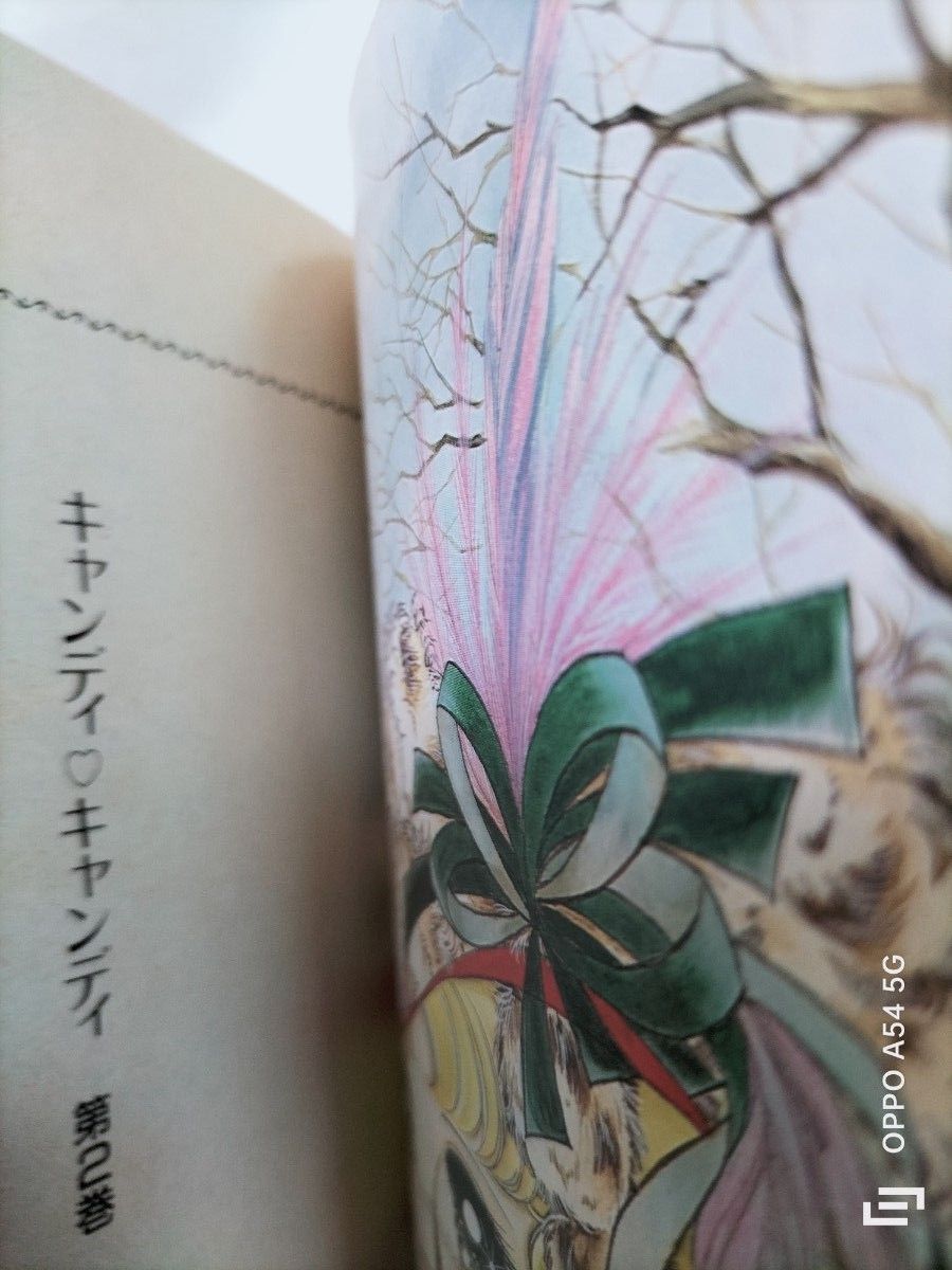 キャンディキャンディ 愛蔵版 全巻セット いがらしゆみこ 水木 キャンディキャンディ 愛蔵版 全巻セット いがらしゆみこ 水木