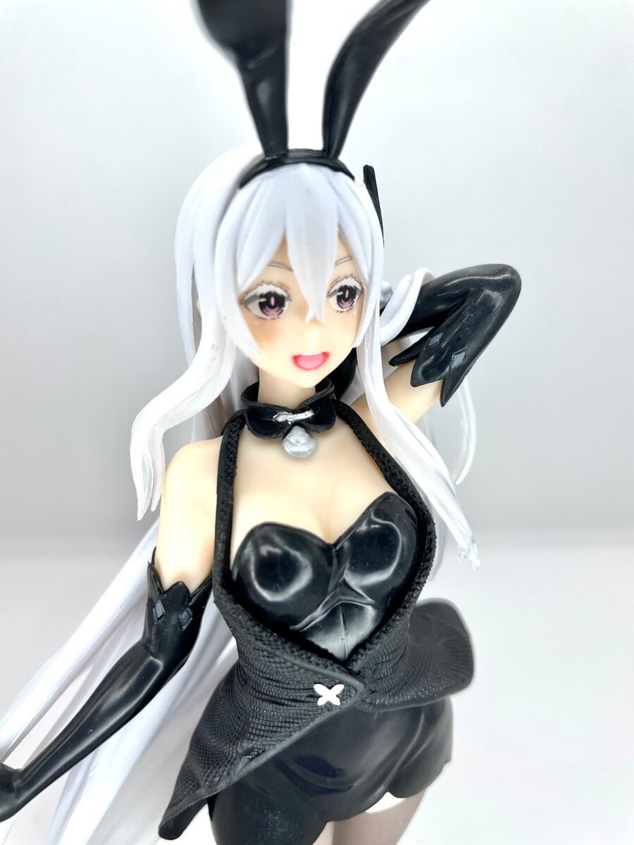 定形外350円Re:ゼロから始める異世界生活Coreful フィギュア エキドナ バニーver. Re:Zero figure Rem Ramjapan anime Echidna Bunny レム_画像5