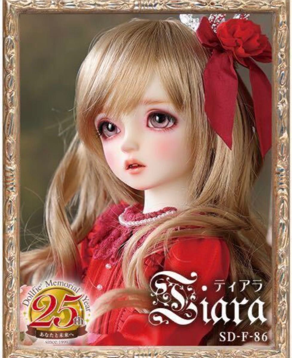 新品フルセット Volks ボークス スーパードルフィー Dear SD DSD 新品フルセット Volks ボークス スーパードルフィー Dear SD DSD