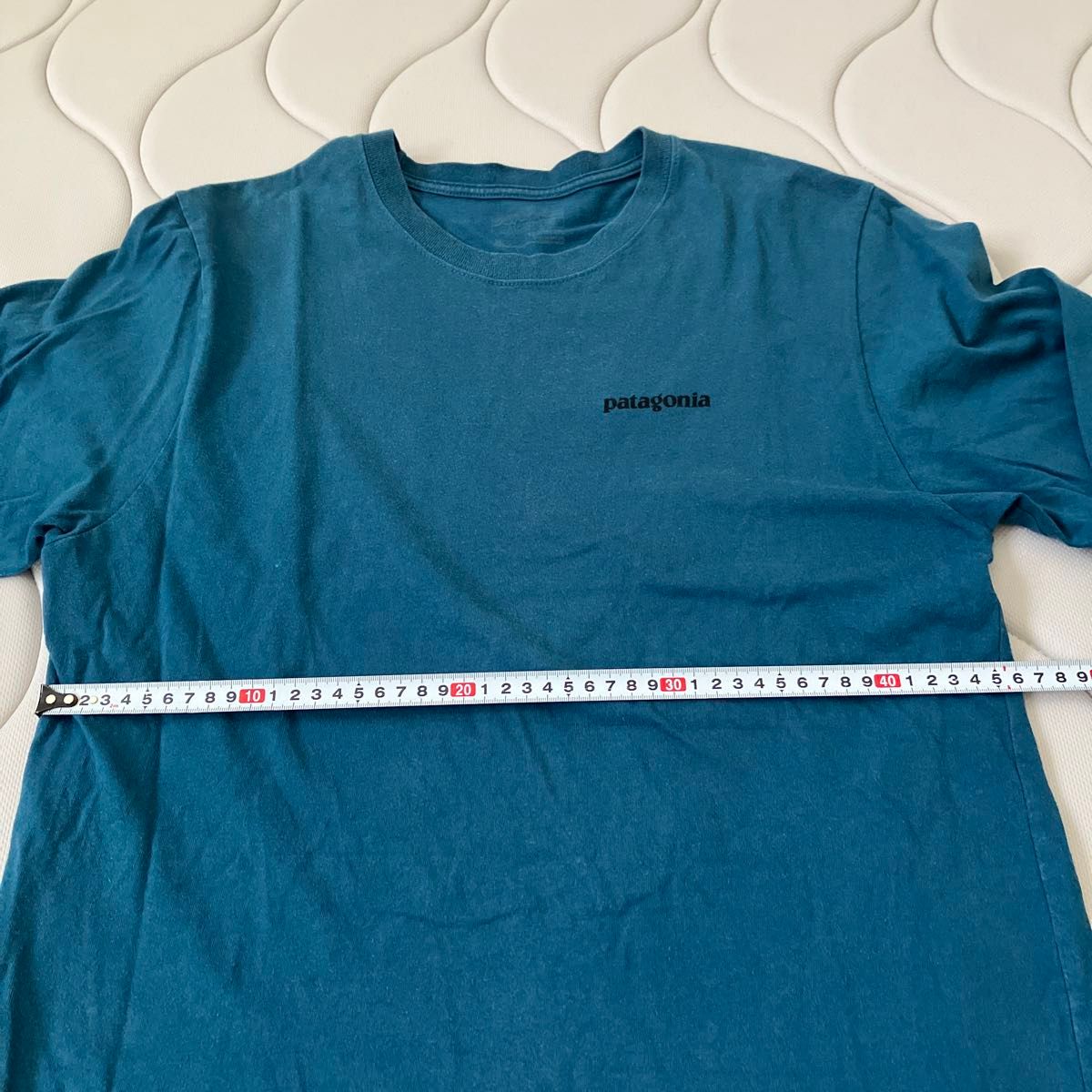 パタゴニア patagonia 長袖 ロンT 長袖Tシャツ　デカロゴ　レア品　 STY38701FA15