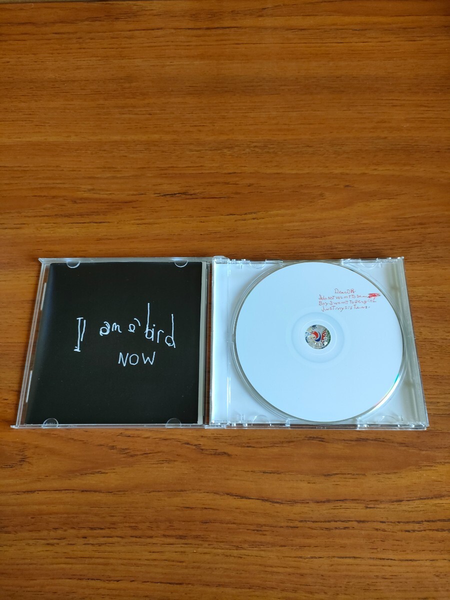 輸入盤 アントニー・アンド・ザ・ジョンソンズ アイ・アム・ア・バード・ナウ Antony & The Johnsons I Am A Bird Now_画像2