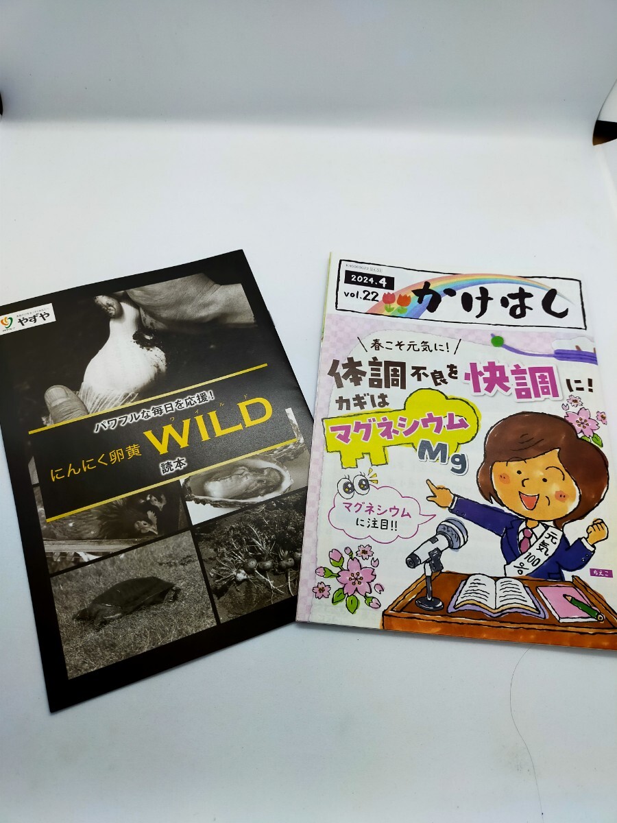 やずや にんにく卵黄 WILD 2袋 にんにく卵黄WILD マカ 亜鉛 すっぽん 牡蠣 サプリメントの画像5