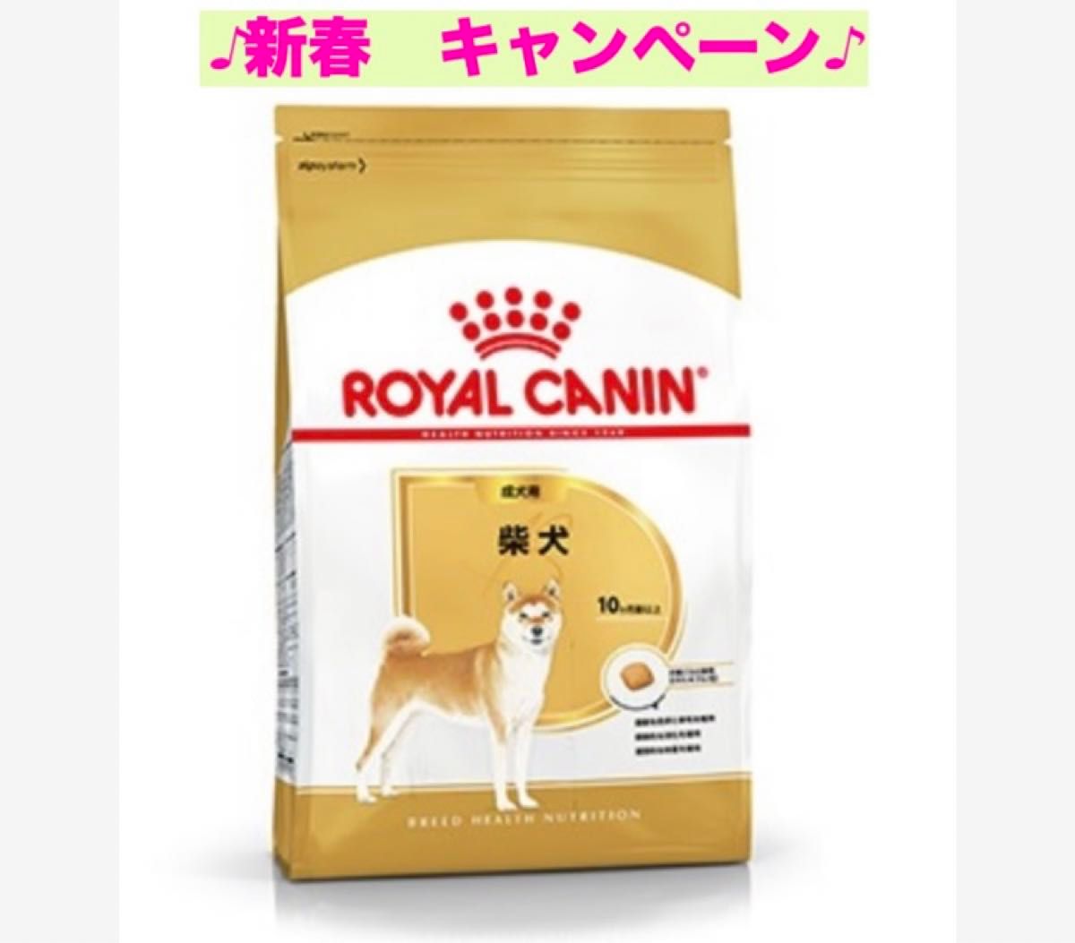 ロイヤルカナン　柴犬成犬用8kg ×2個