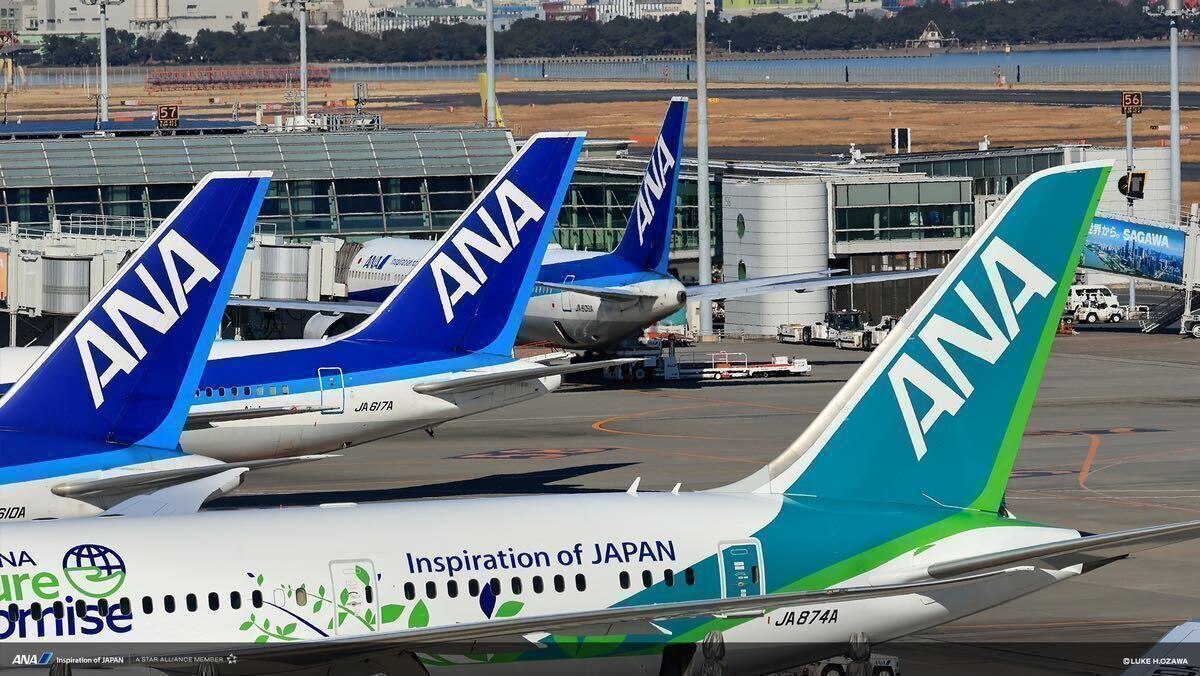 ANA2000マイルを希望口座へ加算 クレカOKの画像1