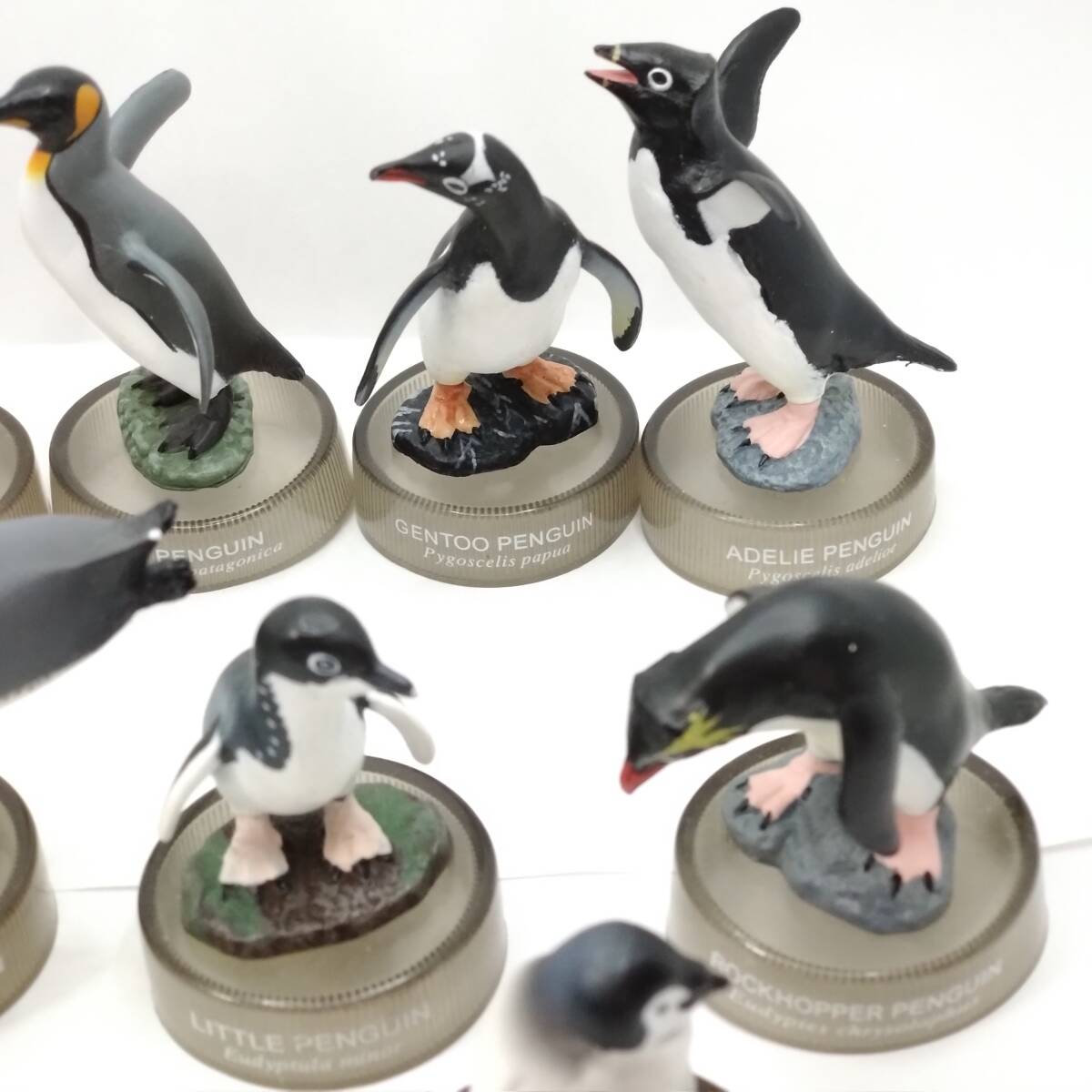 ペンギンズランチビスケット■ノーマル8種セット(難あり含む)■ボトルキャップフィギュア■海洋堂