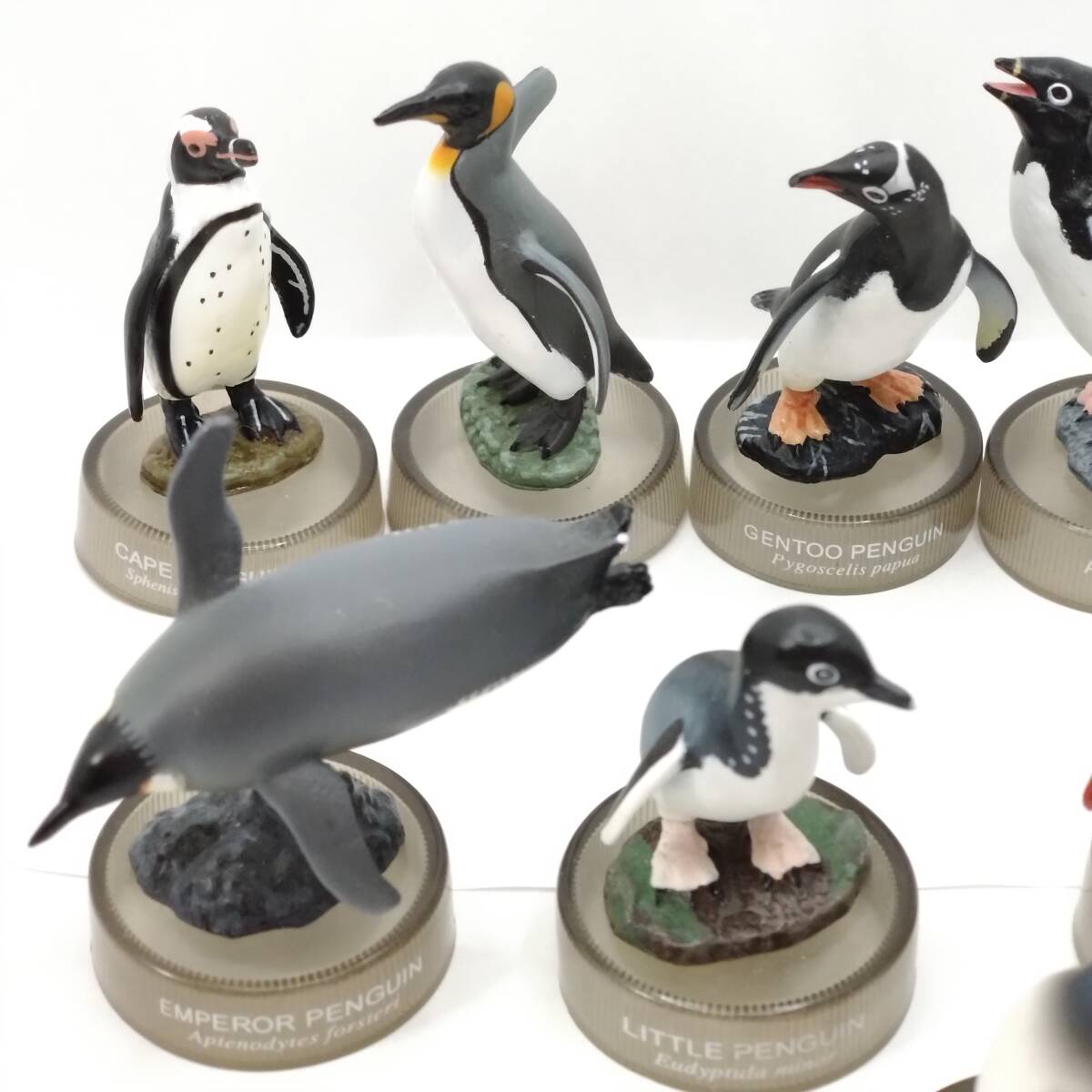 ペンギンズランチビスケット■ノーマル8種セット(難あり含む)■ボトルキャップフィギュア■海洋堂の画像2