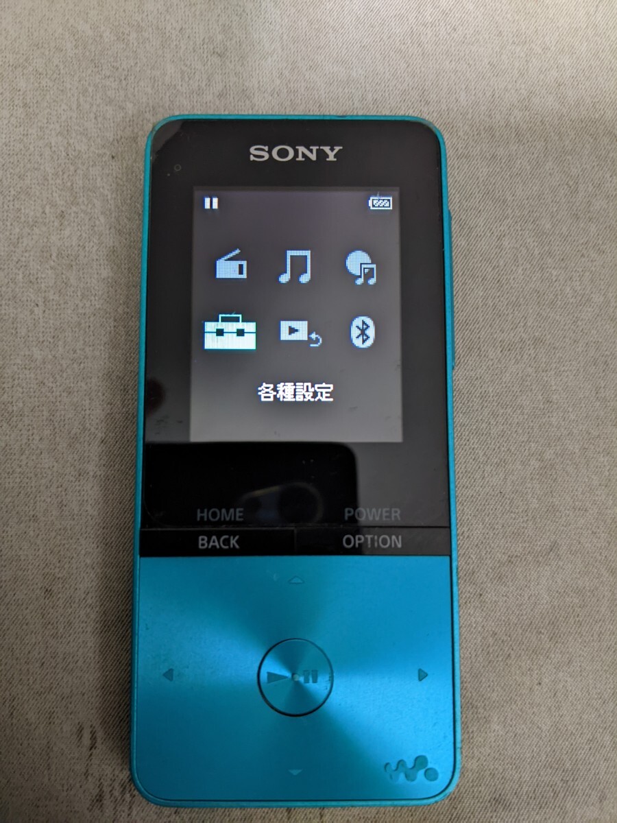 C1146 WALKMAN ウォークマン NW-S315 16GB SONY ソニー デジタル音楽プレーヤー 簡易確認＆簡易清掃＆初期化OK 現状品 送料無料 _画像1