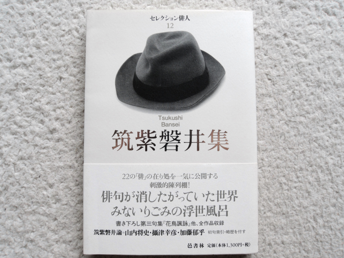 セレクション俳人 12 筑紫磐井集 (邑書林) 筑紫 磐井、目次～『婆伽梵』評 加藤郁乎ほか_画像1