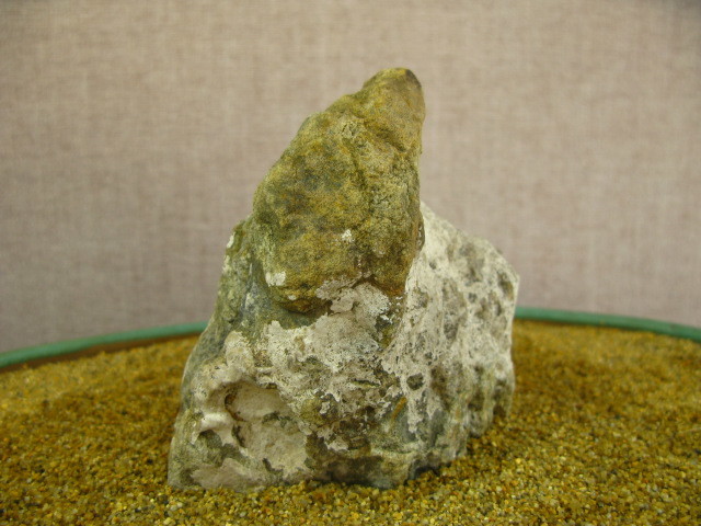湯の岳（虎石） 山形石 うぶ石 水石 盆石の画像4