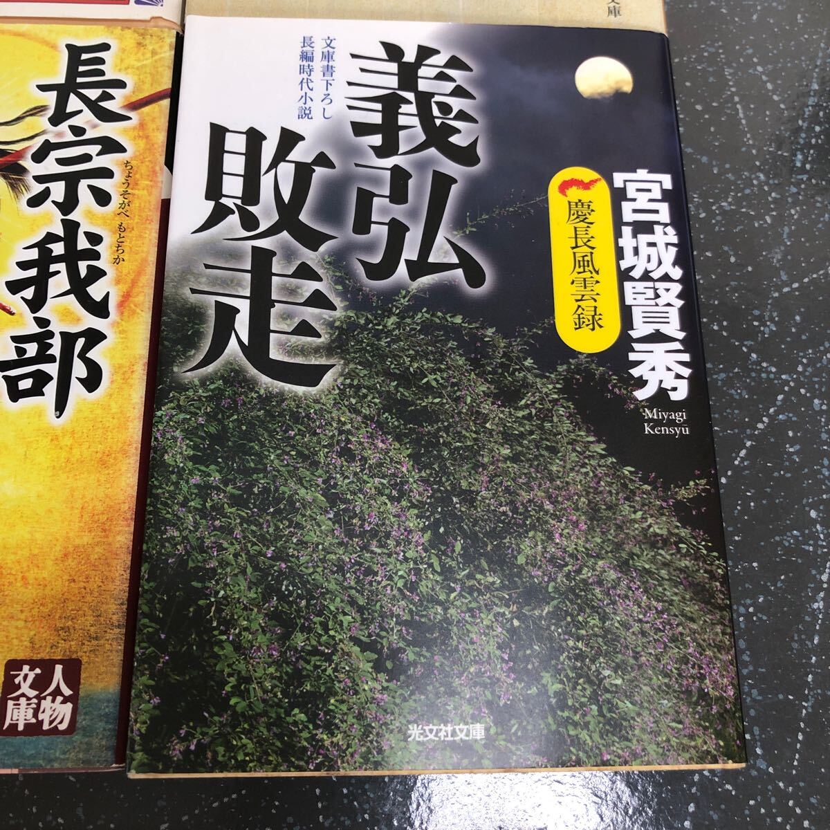 【500円均一 匿名送料無料】4冊まとめ売り 風林火山 非常の人 徳川吉宗 義弘敗走 長宗我部元親【Ｙ258】_画像3