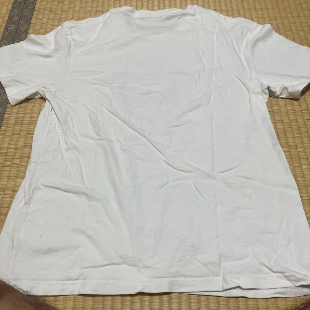 松山千春　コンサート　Tシャツ　古着