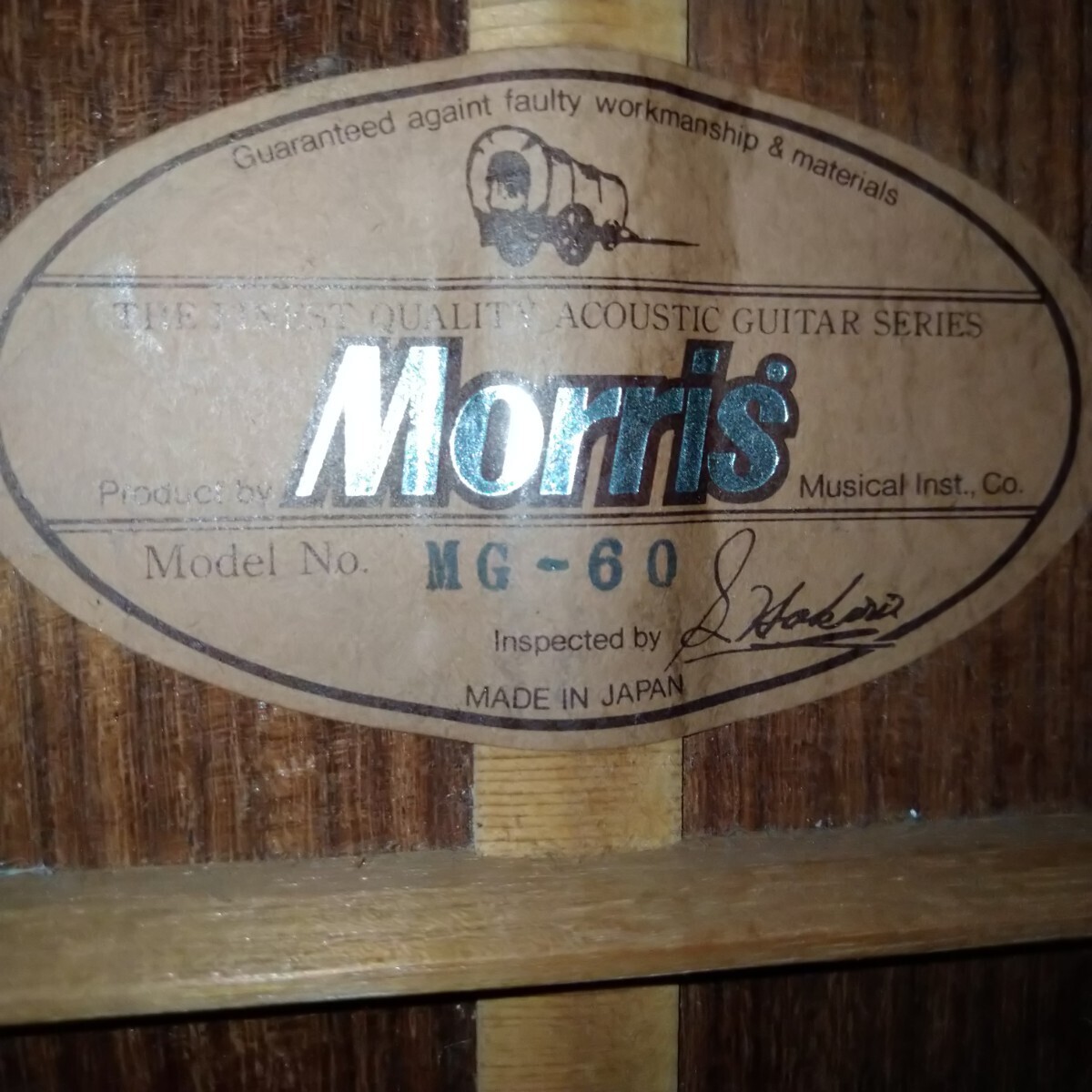 MORRIS MG-60 Morris length Logo acoustic guitar akogi