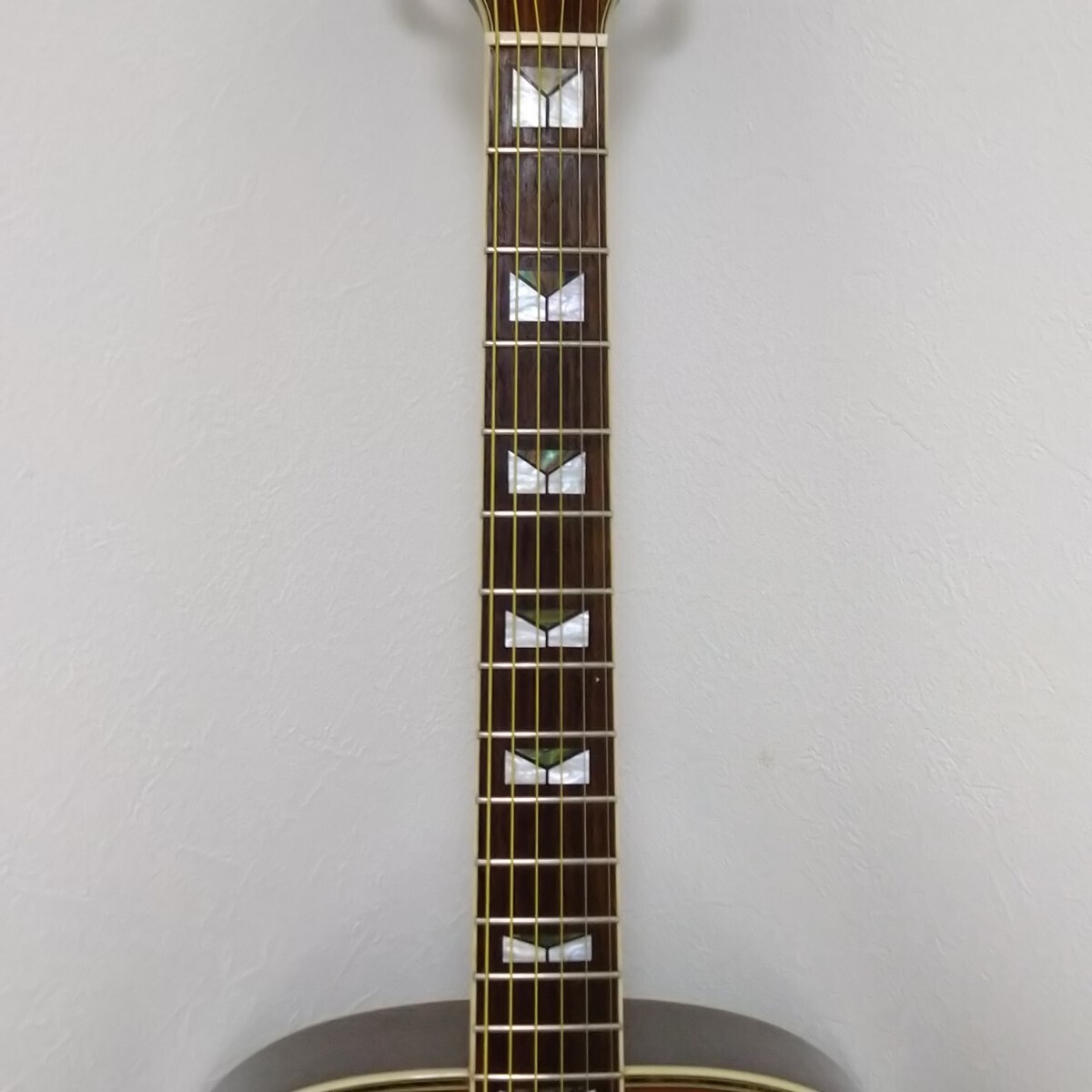 MORRIS MG-60 Morris length Logo acoustic guitar akogi