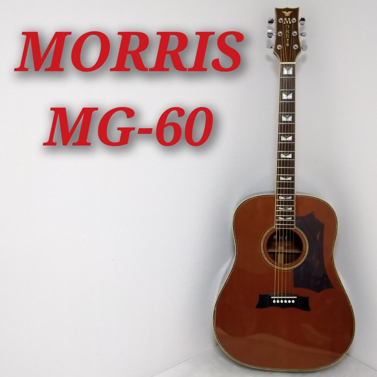 MORRIS MG-60 モーリス 縦ロゴ アコースティックギター アコギの画像1