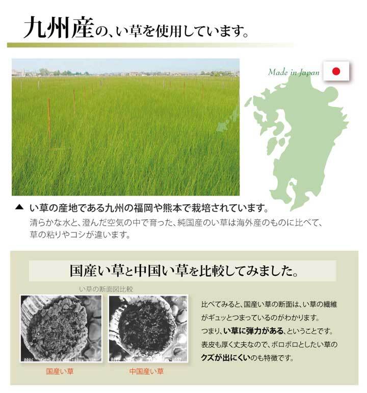 国産 い草 ござ 和室 上敷き カーペット 敷物 双目織 江戸間 2畳(約176×176cm）_画像5