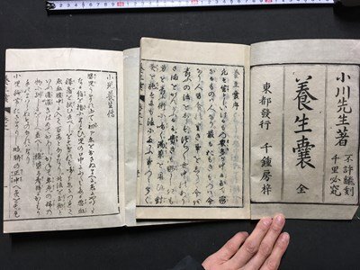 ｍ※※ 養生嚢 巻之上下 2冊揃い 小川顕道 古書 和本  小児養生伝  /P12の画像2