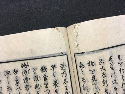 ｍ※※ 養生嚢 巻之上下 2冊揃い 小川顕道 古書 和本  小児養生伝  /P12の画像3