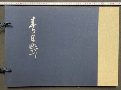 ｃ10※　春日野　覆刻版　会津八一 歌・書　杉本健吾・絵　二十品　解説・宮川寅雄　昭和53年　求龍堂　/　N50_画像1