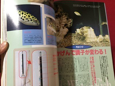 s* 1996 year 12 month number tropical fish information aqua Club Vol.7 brackish water fish ... ... raw .. breeding law . beautiful . publish that time thing publication only /N52