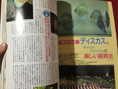 s※ 1997年 4月号 熱帯魚情報 アクアクラブ Vol.9 誰でもできるディスカスとキャットフィッシュの楽しい飼育法 成美堂出版 /N52_画像4
