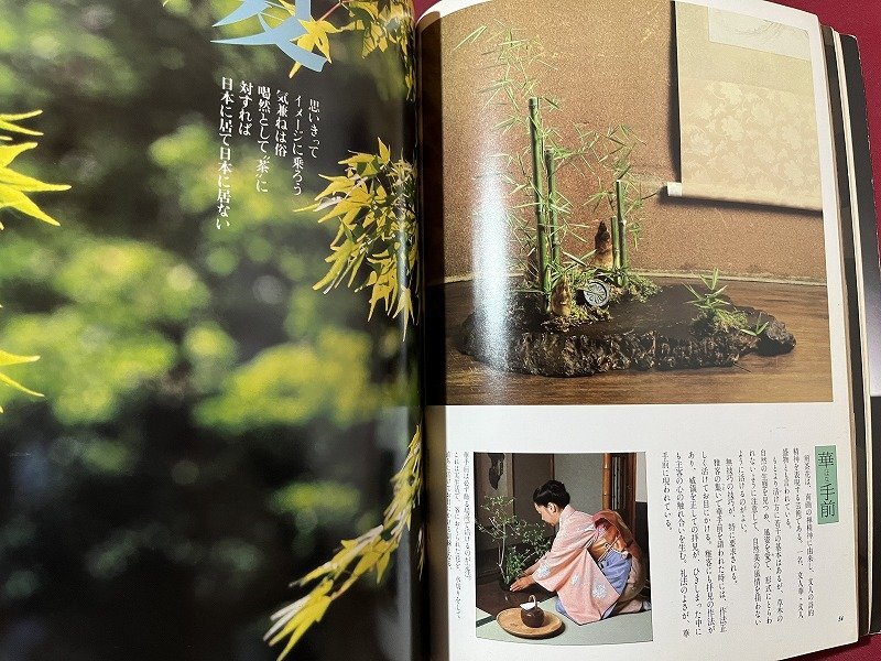 ｚ※※　別冊　太陽　No.39　煎茶　1982年6月25日発行　平凡社　雑誌　書籍　昭和レトロ　当時物　/　H51_画像3