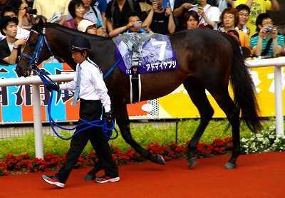 G1宝塚記念　実使用　アドマイヤフジ 実使用ゼッケン 競馬 ウマ娘 武豊 jra アドマイヤベガ_画像3