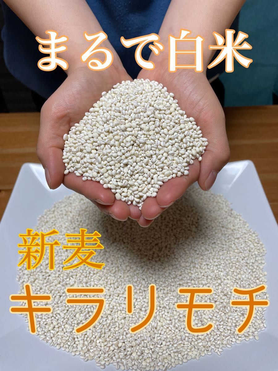 新麦　キラリモチ　もち麦　1.5kg 国産