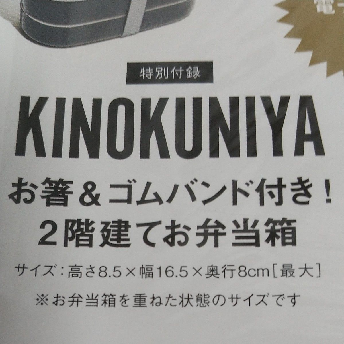 KINOKUNIYA（キノクニヤ）2階建てお弁当箱＆お箸　グレー