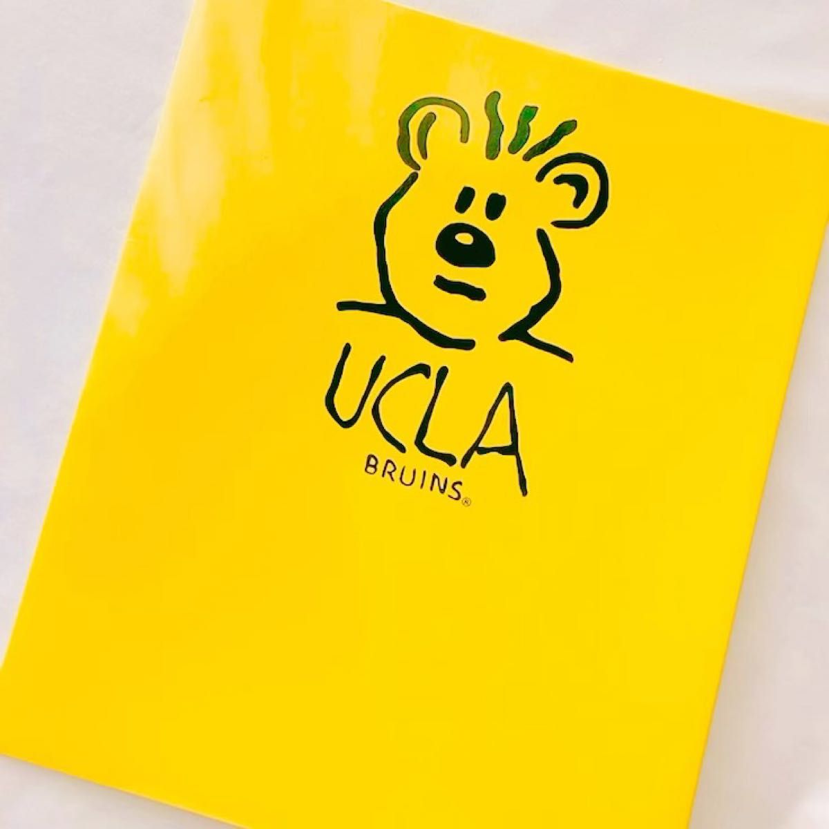 インポート アメリカ 公式ショップ 購入 UCLA 大学 ファイル 文房具 日本未発売 雑貨 インポート ステーショナリー