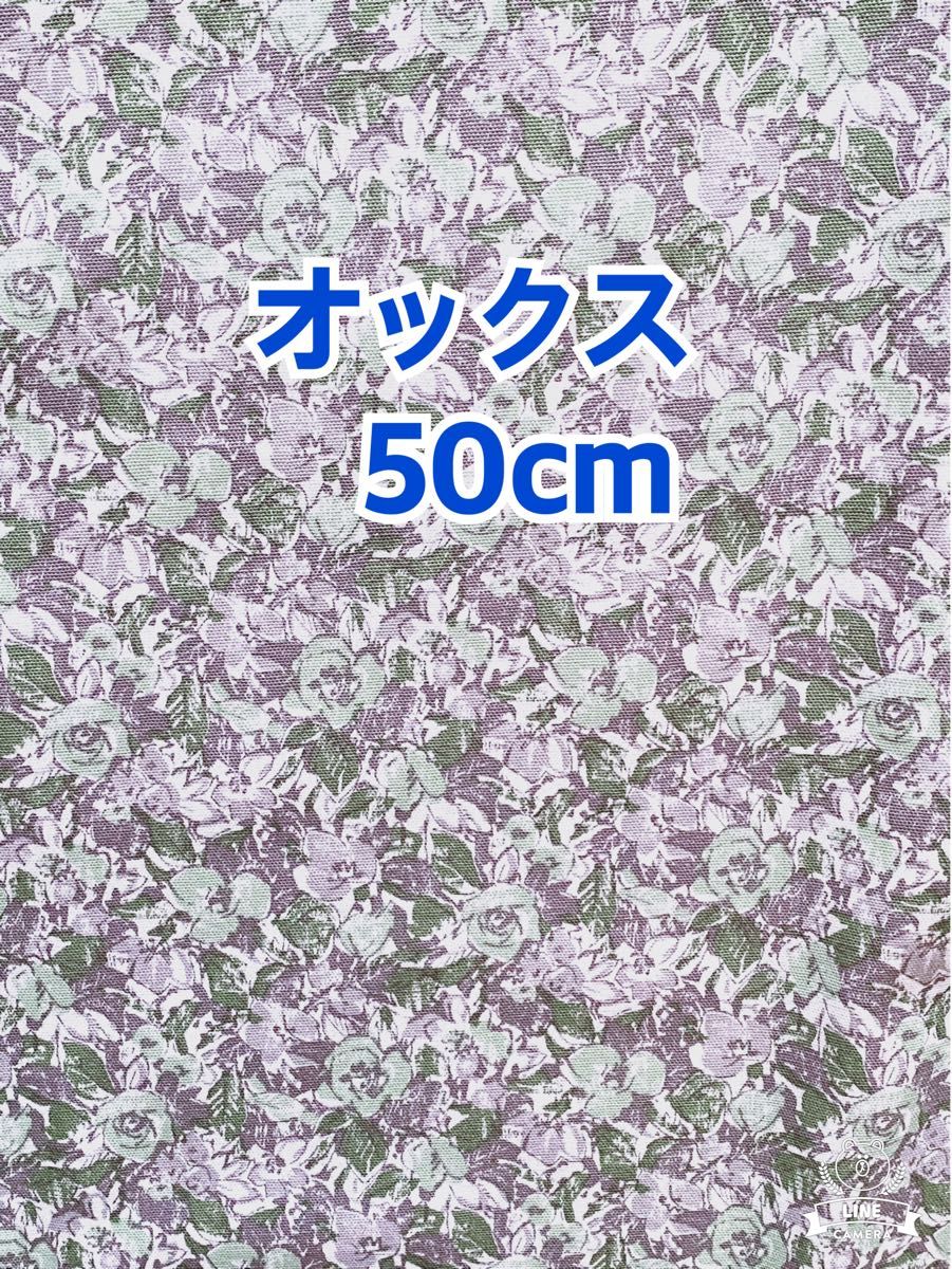 (キ67)グレーとライトモスグリーンのローズ柄（生地幅110cm×長さ50cm)