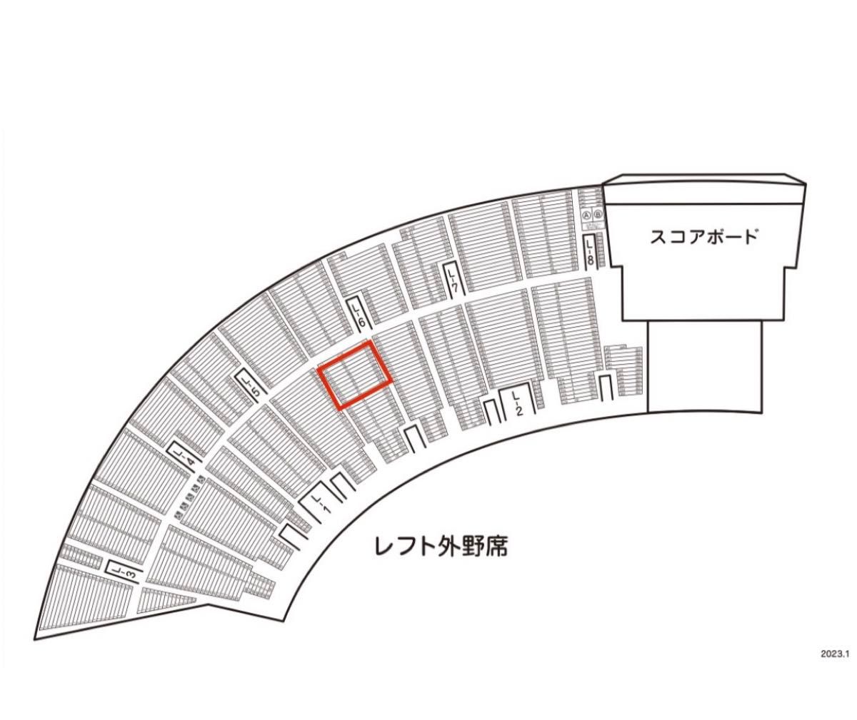 2024/6/9(日) 阪神vs西武 交流戦 阪神甲子園球場 レフト外野指定席 年間シート ペアチケット