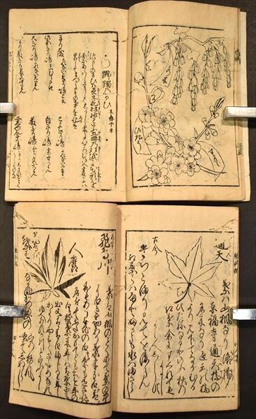 増補地錦抄 8冊揃 宝永七年刊 本草 和本 古文書の画像3