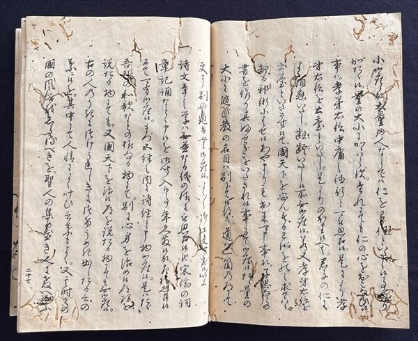 答問書 荻生徂徠 版本 享保12年 虫喰い 儒学 徂徠先生答問書 和本 古文書_画像4