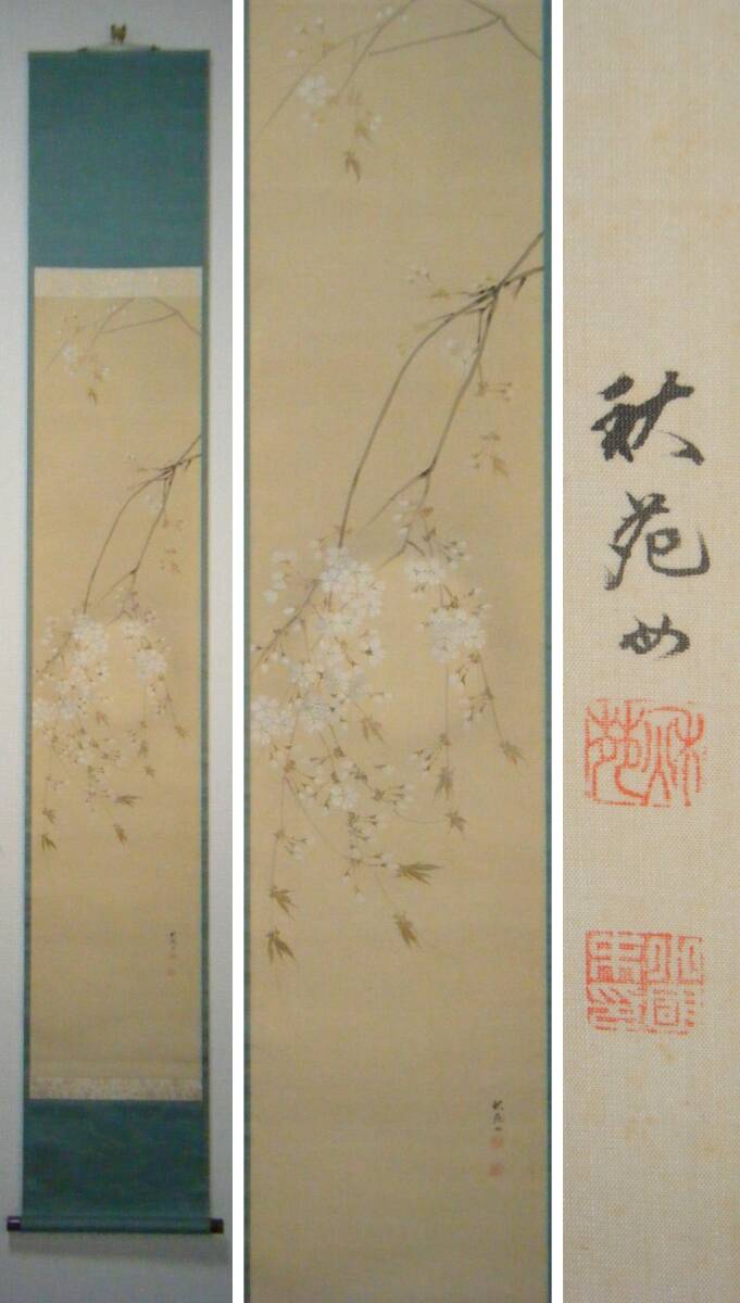 [ genuine work ] hanging scroll inside rice field autumn .. month shide branch Sakura . map popular author excellent article also in box M80