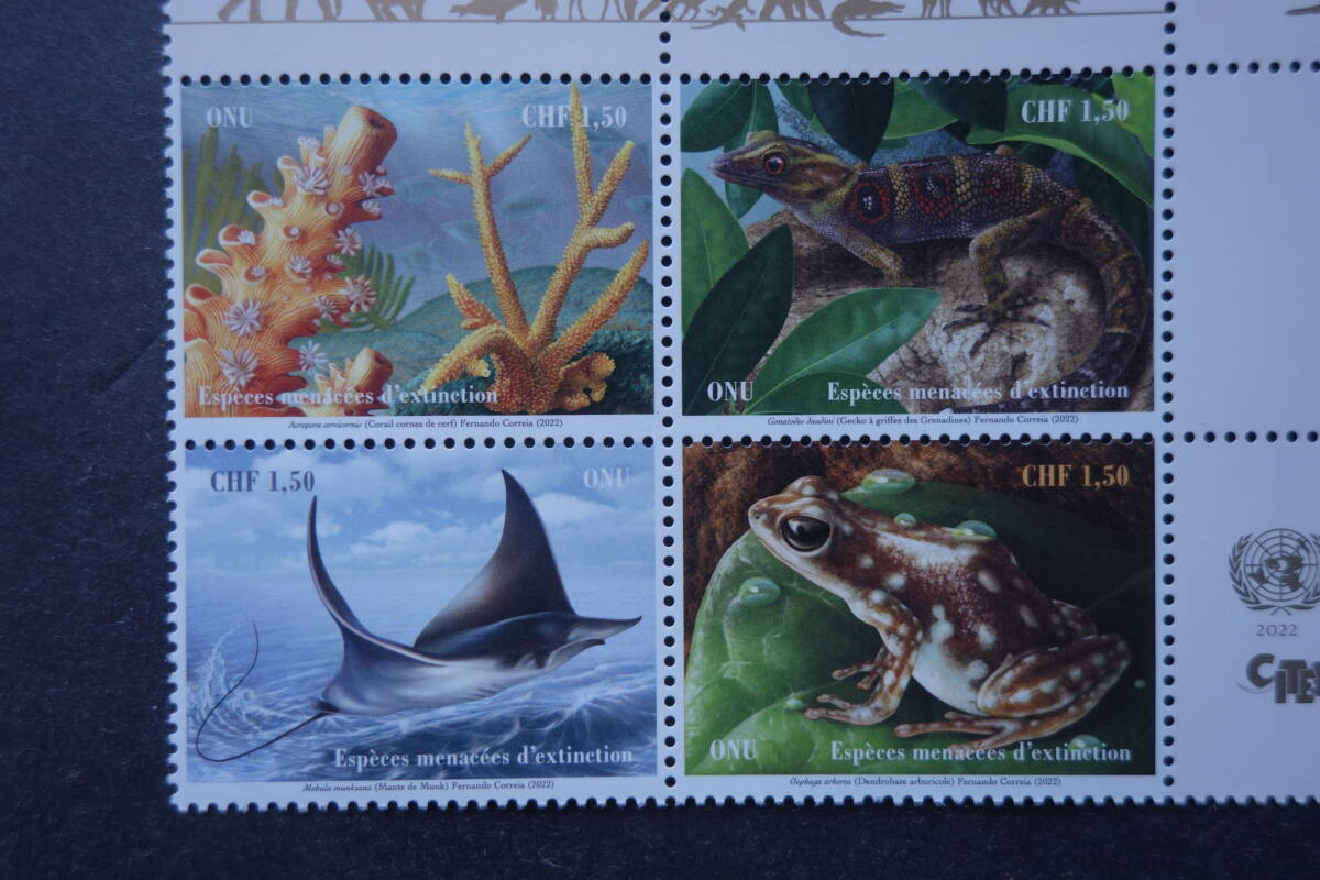 外国切手： 国連切手「絶滅に瀕した動植物（29次）」 12種完（田型連刷×3） 未使用_画像3