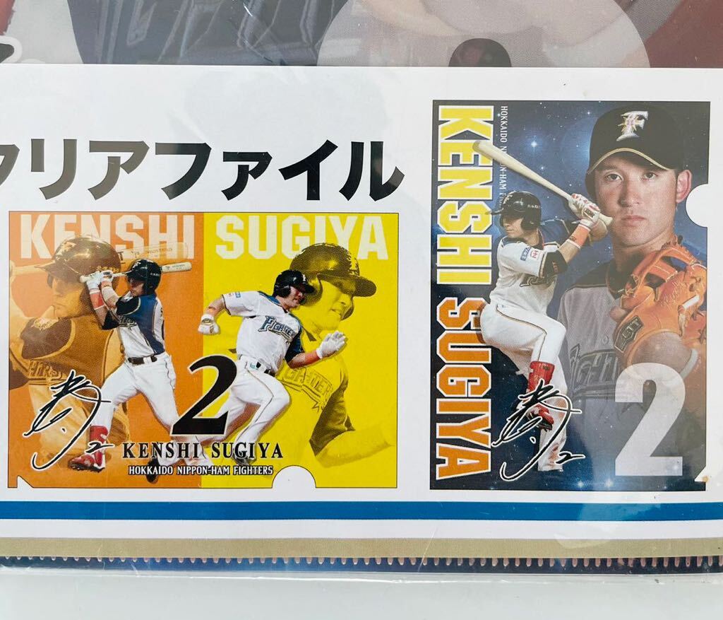 杉谷挙士 クリアファイル 2枚セット A4 ファイターズ 日本ハム オフィシャル グッズ SUGIYA KENSHI HOKKAIDO NIPPON-HAM FIGHTERS の画像4