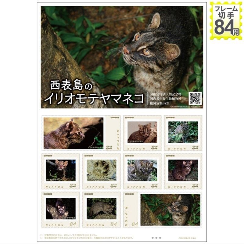  unopened new goods / Okinawa prefecture . -ply mountain WEB sale 48 seat limitation / frame stamp [ west table island. i rio moteyama cat ] special natural memory thing /84 jpy commemorative stamp collection 