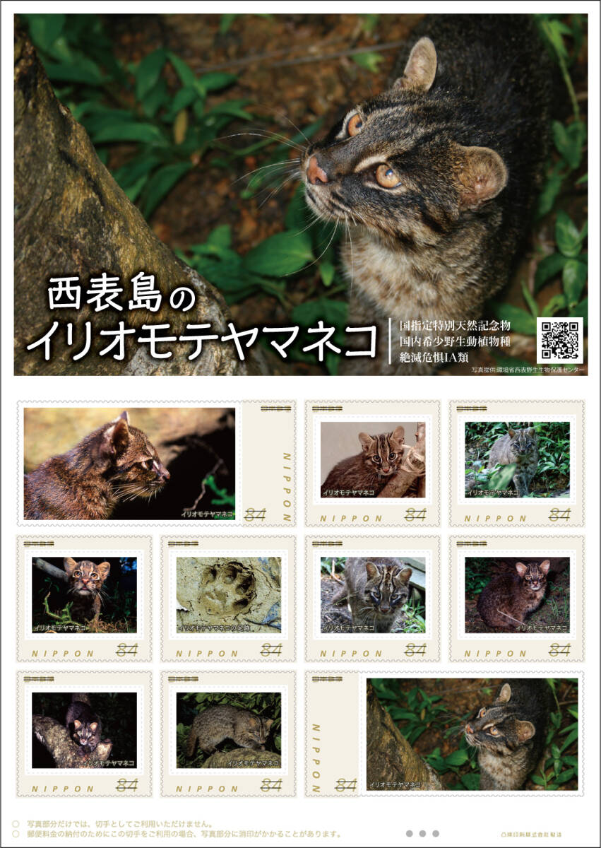  unopened new goods / Okinawa prefecture . -ply mountain WEB sale 48 seat limitation / frame stamp [ west table island. i rio moteyama cat ] special natural memory thing /84 jpy commemorative stamp collection 