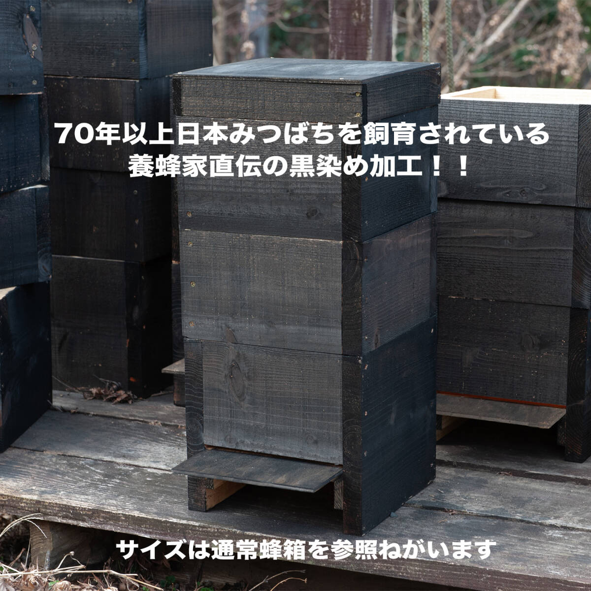日本みつばち巣箱　黒染　底板2タイプ（夏冬交換）3段重箱　まち箱　巣落ち、スムシ、暑さ対策、あかりんダニ対策 0409_画像1