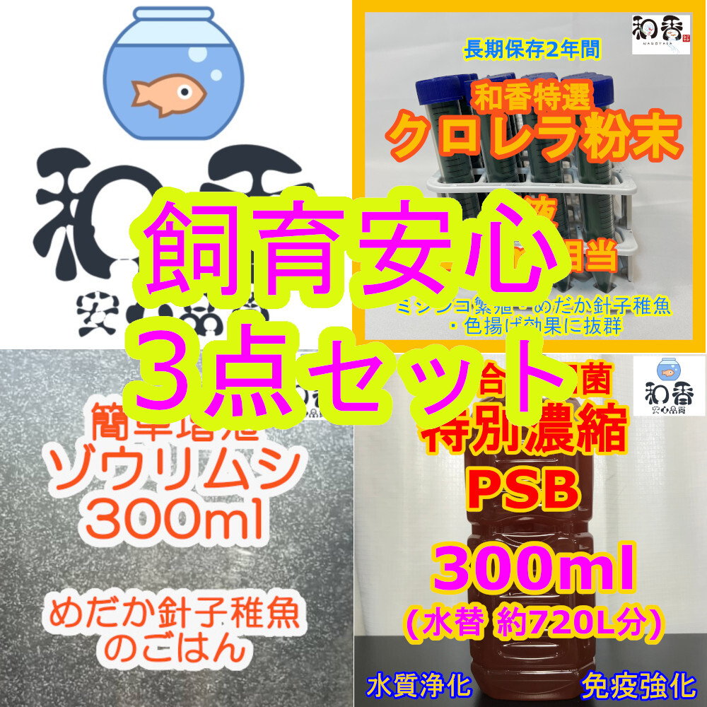 人気お得★飼育安心3点 ゾウリムシ300ml&粉末生クロレラ&PSB300mlセット 針子稚魚のエサ めだか金魚グッピーエサミジンコバクテリア生餌_安心の針子稚魚生存率UPセット