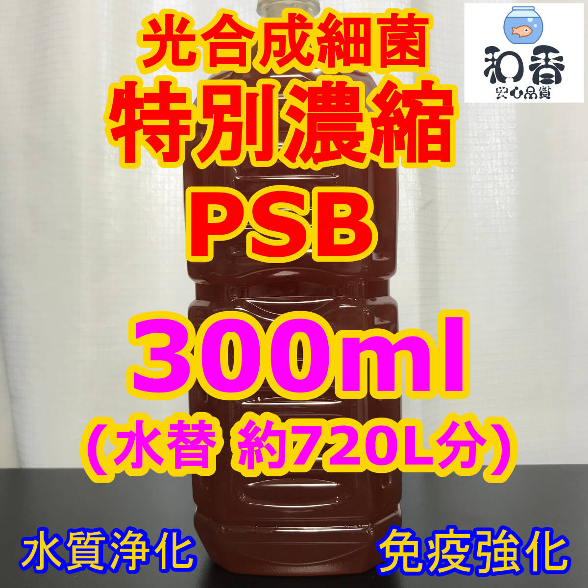 実績No1★送料安★生餌4点 ゾウリムシ300ml＆PSB300ml＆タマミジンコ休眠卵1000粒&粉末生クロレラ 針子稚魚めだか金魚グッピーバクテリア餌_水質浄化の定番