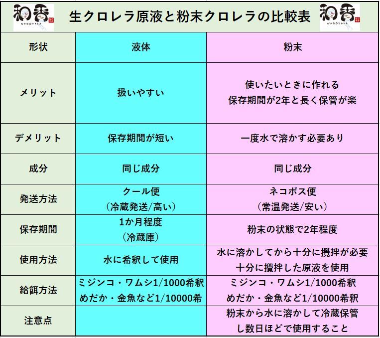 クール便★和香特選生クロレラ500ml★即日発送★ミジンコめだか金魚らんちゅうの餌 針子稚魚の青水作 ワムシゾウリムシ生餌ミドリムシの画像5