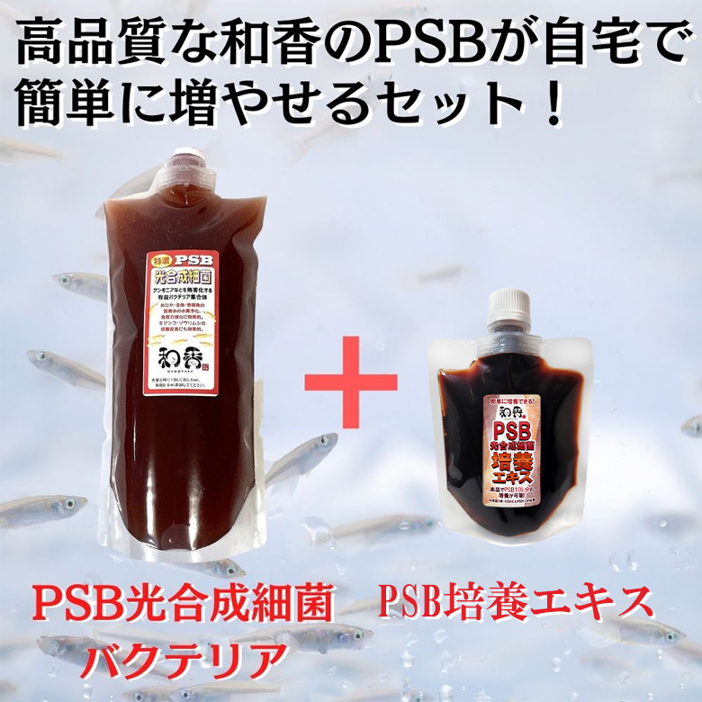 PSB光合成細菌20L培養セット バクテリア めだか らんちゅう 金魚 熱帯魚 グッピーに最適 ミジンコゾウリムシクロレラ培養の画像3